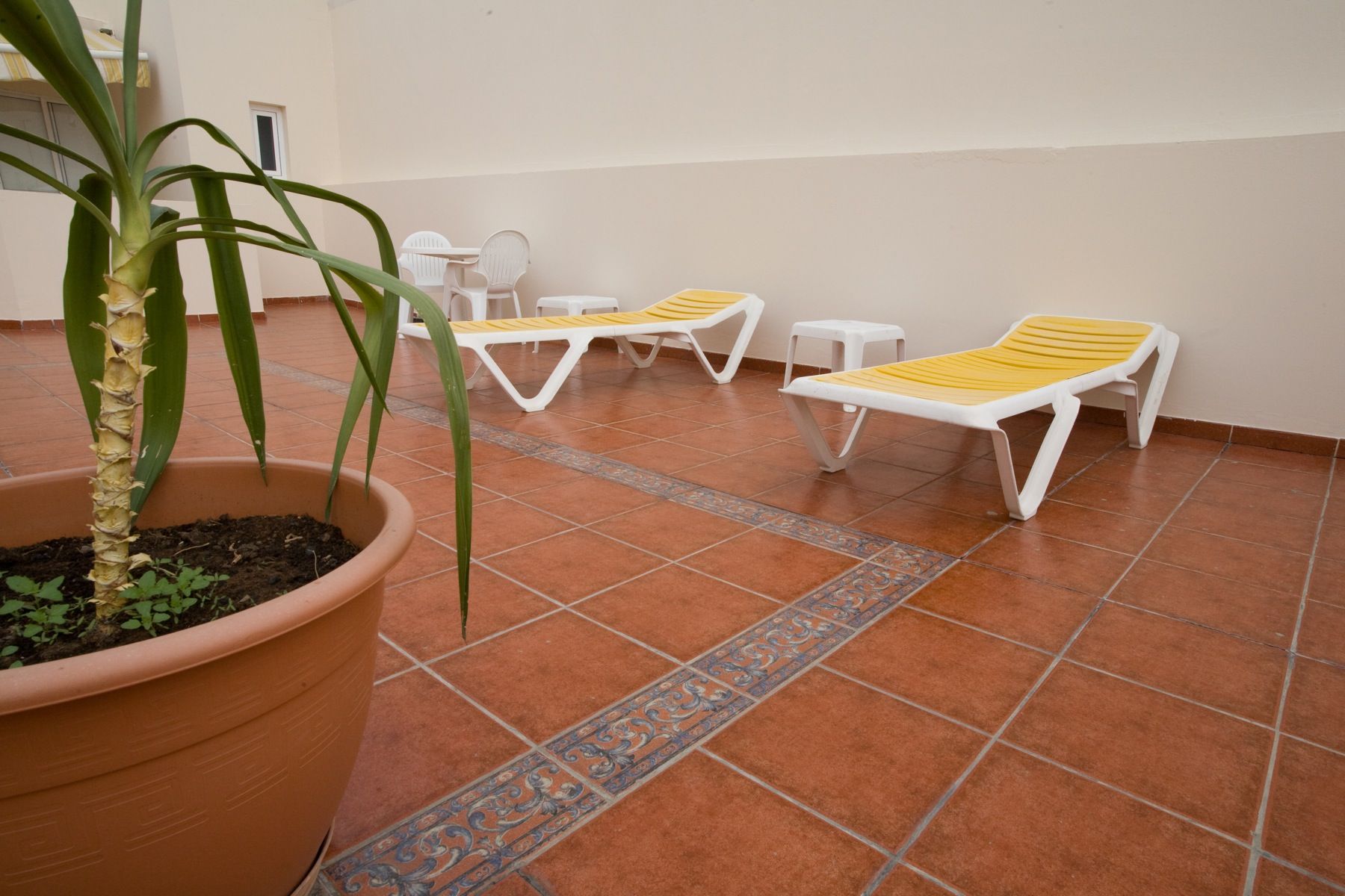 Apartamentos Catalina Park Las Palmas de Gran Canaria Eksteriør billede